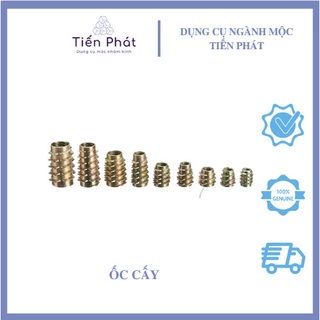 ốc cấy ren ngoài ( 100 con )