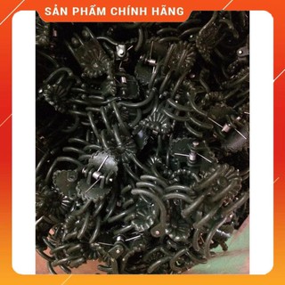 50 Kẹp bướm trung trồng lan.