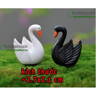 Thiên nga tung cánh - phụ kiện terrarium tiểu cảnh sân vườn