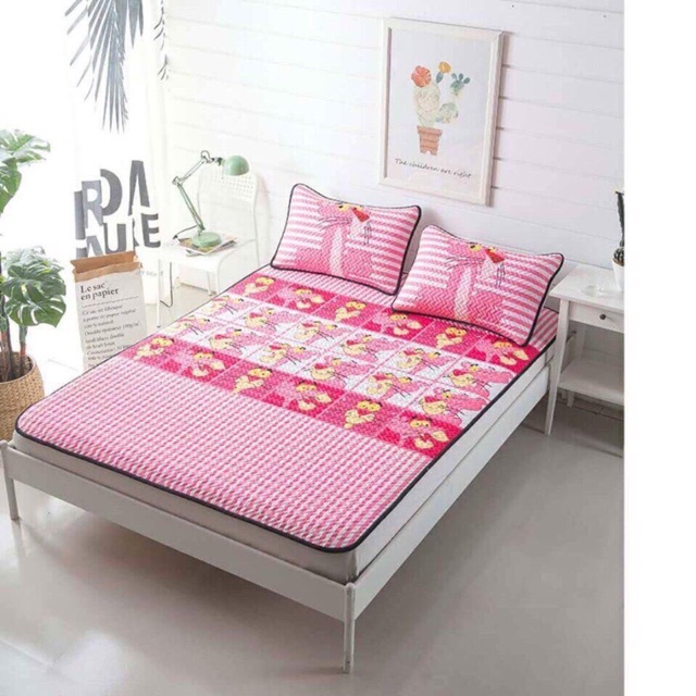 Chiếu điều hoà mẫu pink 1,8