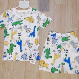 Set 5 bộ cotton giấy