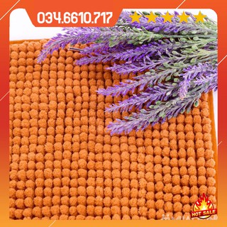 [Siêu sale] Thảm lâu chân san hô siêu thấm