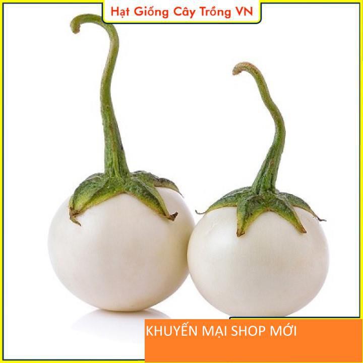 Hạt giống Cà Pháo Trắng Dễ Trồng, Trái Sai, Kháng Bệnh Tốt khuyến mại shop mới