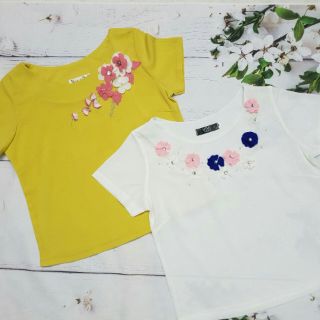 Com bo chân váy + áo kiểu cao cấp.