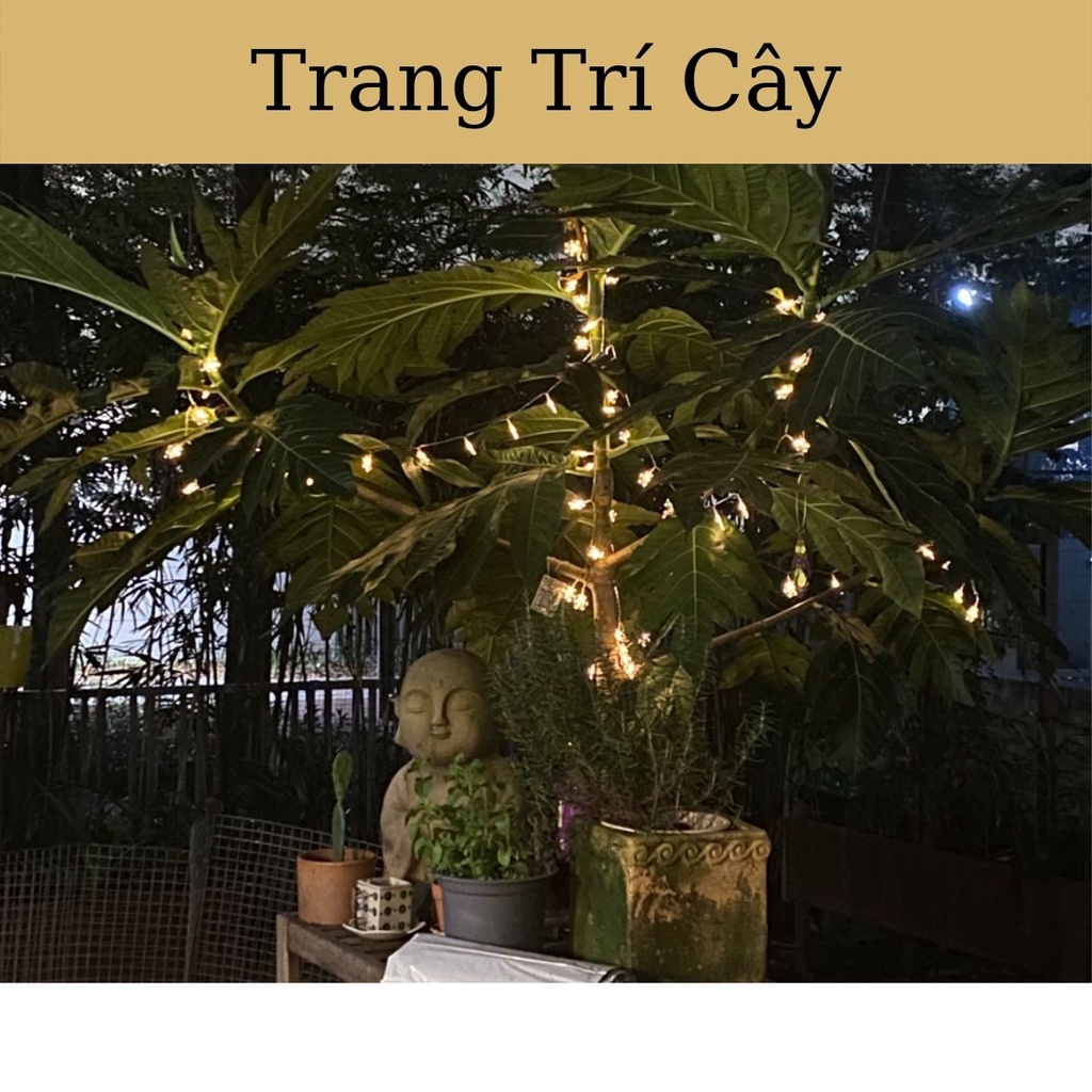 Đèn Led Trang Trí Nhà Cửa Cây Thông Noel Lều Công Chúa Cho Bé Hình Hoa Tuyết  Bằng Pin An Toàn