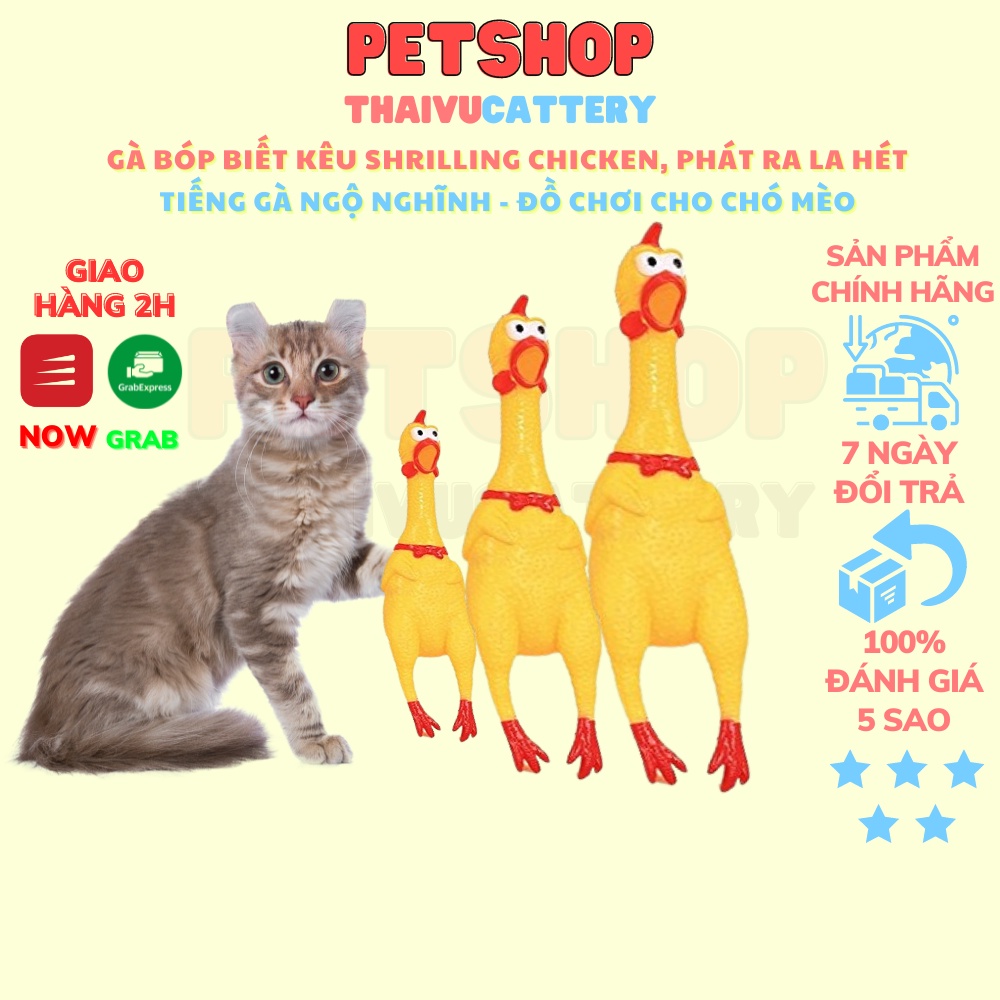 GÀ BÓP Biết Kêu Shrilling Chicken, Phát Ra La Hét Tiếng Gà Ngộ Nghĩnh - Đồ Chơi Cho Chó Mèo