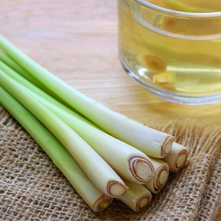 50gram Bột Sả Nguyên Chất
