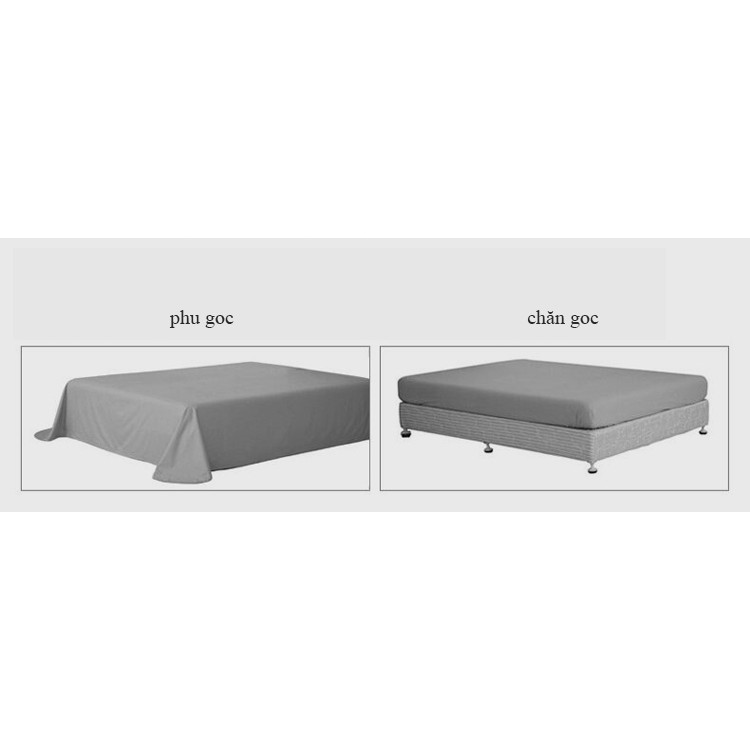 Bộ Drap lụa Dream Gradient BED0001