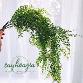 Dây Leo Trang Trí - Chùm Dây Leo Giả Lá Mầm 80 Cm (Nhựa PVC)