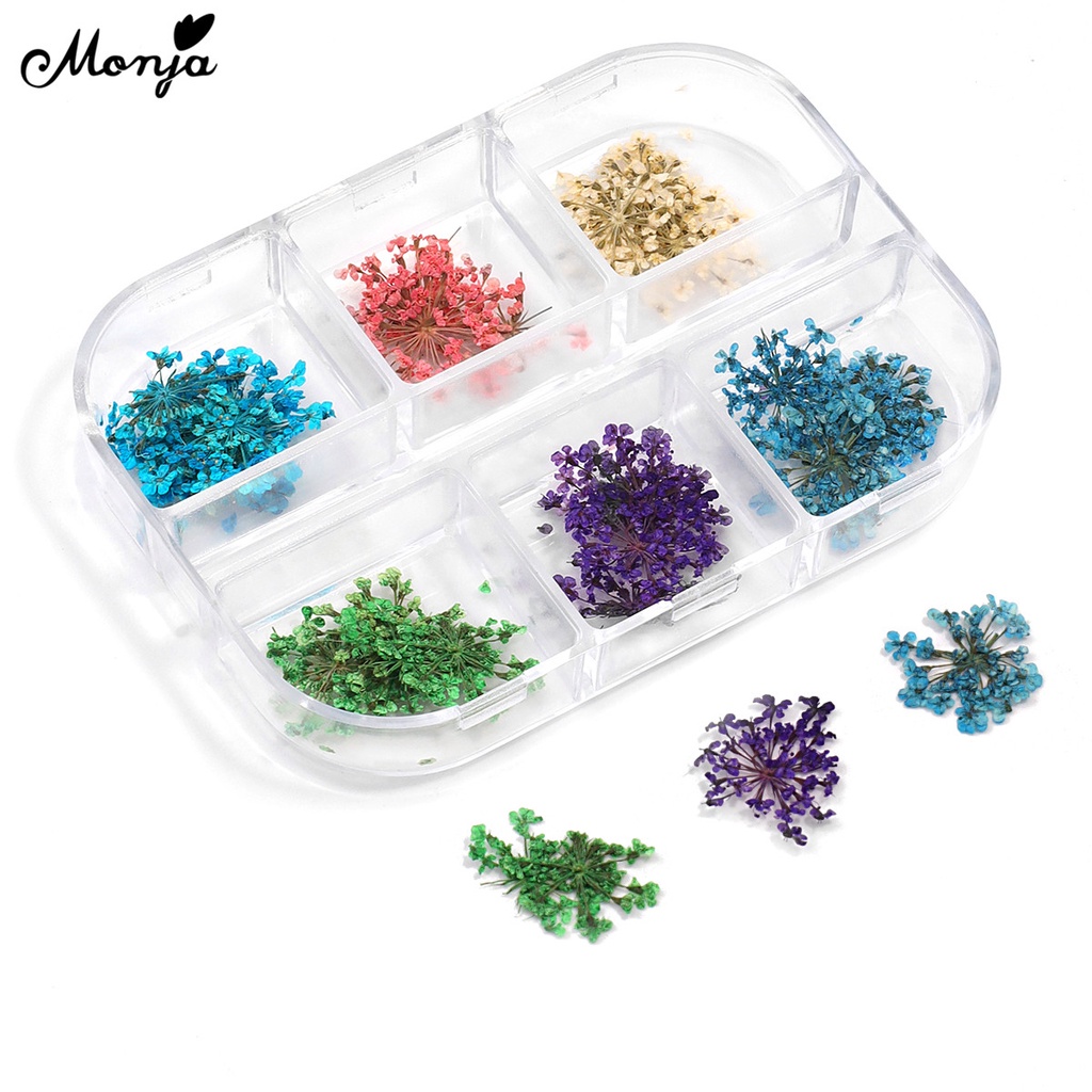 [Hàng mới về] Hoa khô 3d nhiều màu trang trí móng tay nghệ thuật Monja