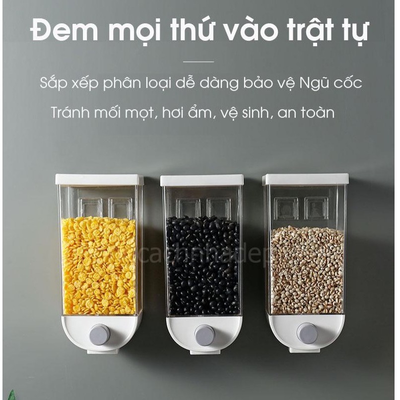 Bộ 3 Hộp Rót Ngũ Cóc SEALED TANK 1500ml (lớn)