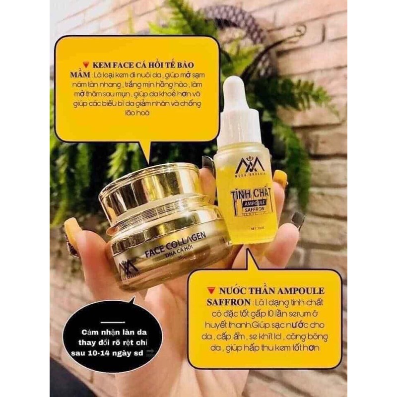 [Chính Hãng] Combo Face Collagen DNA Cá Hồi MEEA Organic và Tinh chất ampoule saffron
