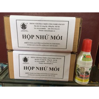Hộp nhử mối tiêu chuẩn