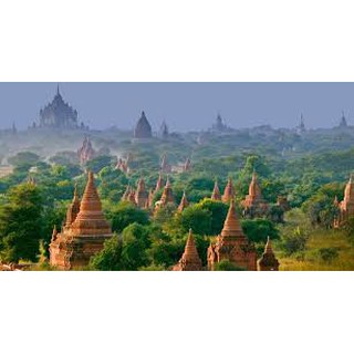 Trà Sữa Myanmar - Royal Myanmar Teamix