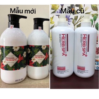 Herb spa Dầu gội giữ Màu
