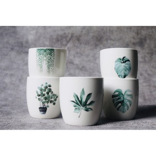 Cốc Sứ VINTAGE Hình Rừng Nhiệt Đới Tropical Forest Cao Cấp