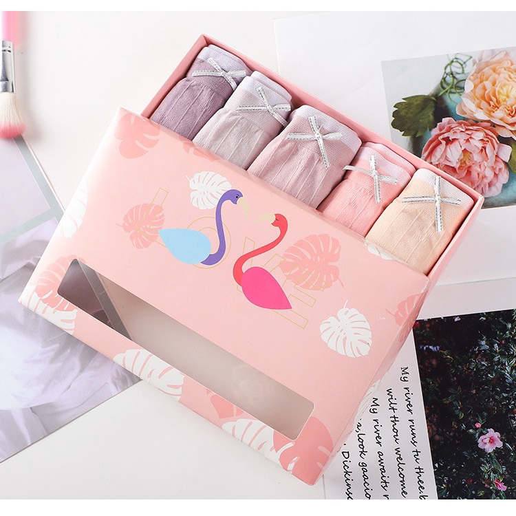 Hộp 5 Quần Lót Cotton Thiên Nga Kháng Khuẩn Dễ Thương Co Giãn 4 Chiều Cao Cấp.