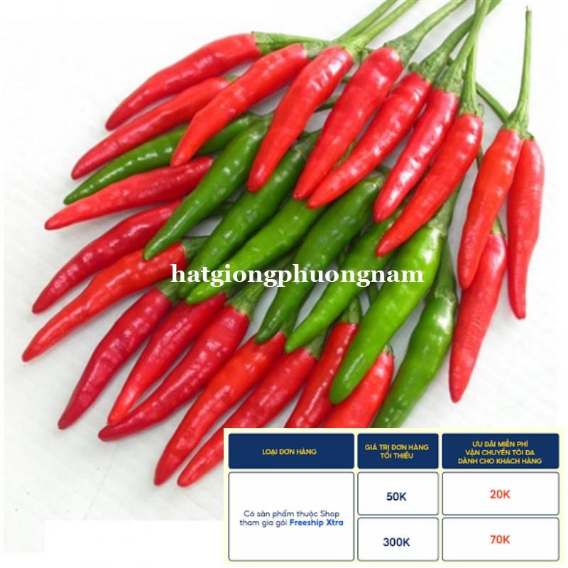30H - HẠT GIỐNG ỚT HIỂM