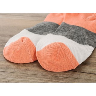 Combo 5 Đôi Vớ 4 Màu Hàn Quốc