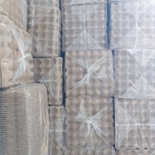 vỉ trứng gà (set/10 cái)