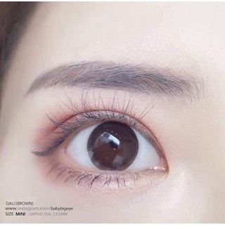 Lens Choco tự nhiên giãn ít ( tặng khay đơn )