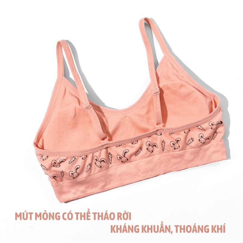Combo 2 Áo lót học sinh Thoải Mái  IKUN, Áo lót bé gái mới lớn, áo lót teen họa tiết, chun nhún ngực IKun - ATM01