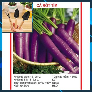 Hạt giống Cà Rốt Tím 0.1Gram TẶNG BỘ LÀM VƯƠN MINI
