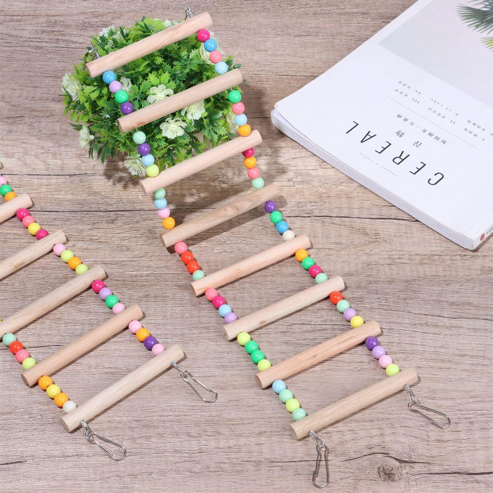 Thang Leo Nhiều Màu Sắc Dễ Thương Cho Chim Cảnh