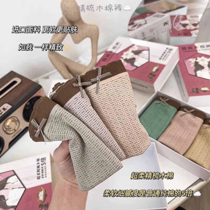 Combo 10 Quần Lót Thông Hơi Cotton 3313, Quần Lót Thông Hơi