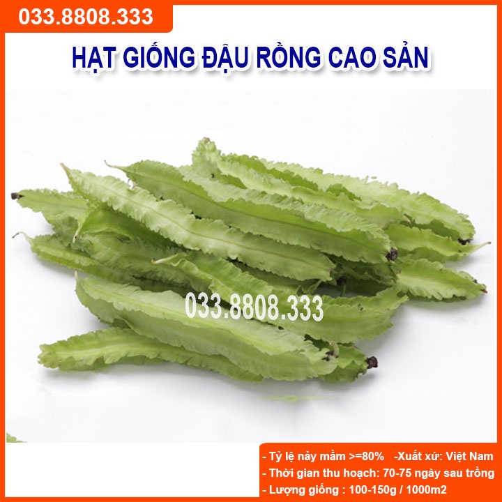 Hạt Giống Đậu Rồng 20gram -Giống Tốt Nhanh Thu Hoạch