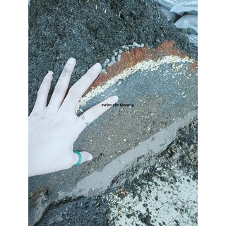 Đất Mùn Hữu Cơ 30dm3 Đã Trộn Sẵn Đất Phù Sa, Tro, Compost, Phân ,..Về Trồng Ngay.