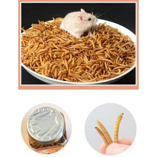 ❤freeship❤ 50gr sâu sấy dinh dưỡng cho hamster