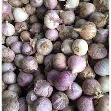 500g Tỏi Cô Đơn Coldcool Mart