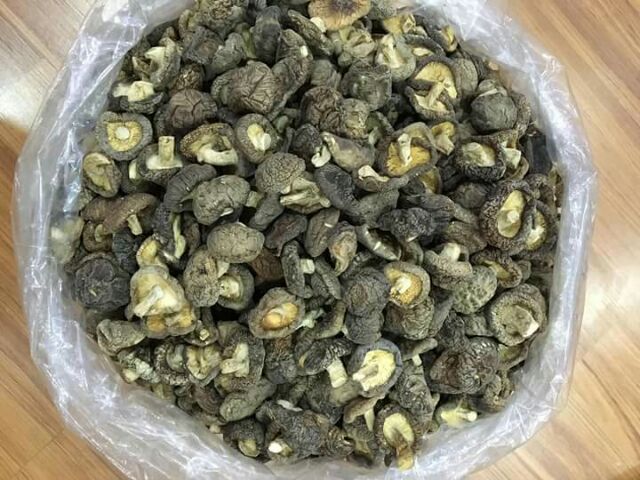 NẤM HƯƠNG RỪNG - SAPA 200gr