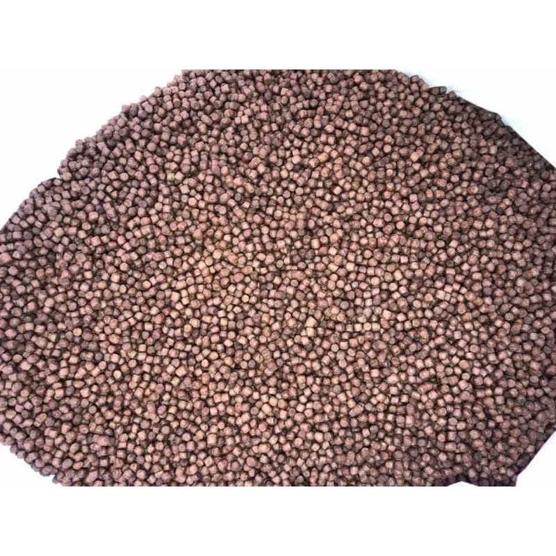1Kg CÁM STELLA S2