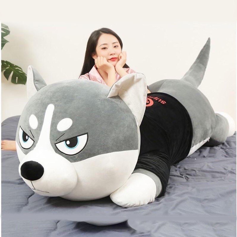 Gấu bông Chó Husky Siêu To Khổng Lồ - gối ôm chó ngáo