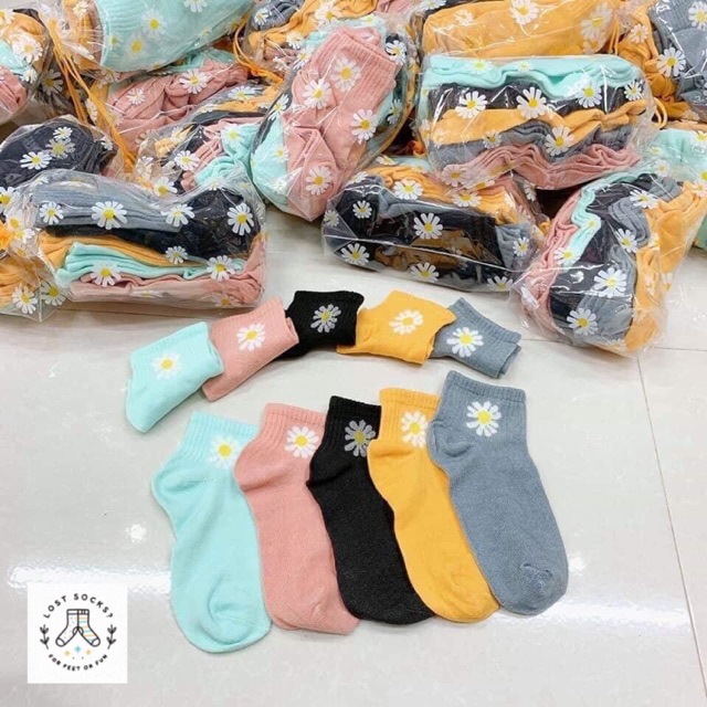 🧦🧦 SET 10 ĐÔI VỚ HOA CÚC HOẠ MI 🌼🌼