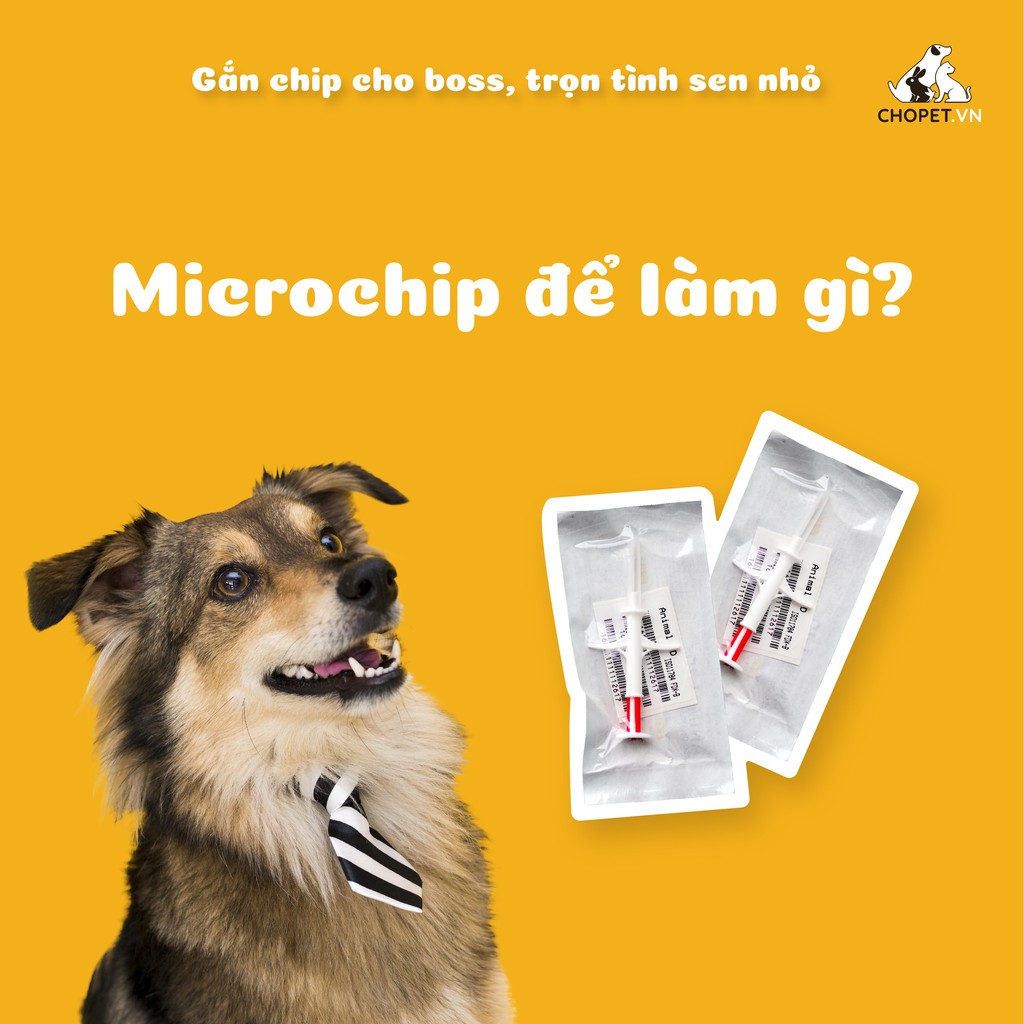 Microchip định danh, bảo hành trọn đời cho thú cưng