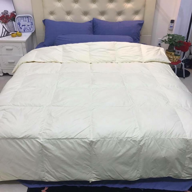 Ruột chăn lông vũ đại hàn 2019 (ảnh thật)