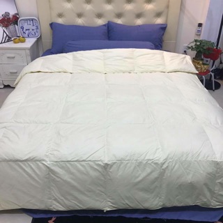 Ruột chăn lông vũ đại hàn 2019 (ảnh thật)