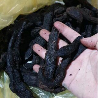 100g nhục thung dung