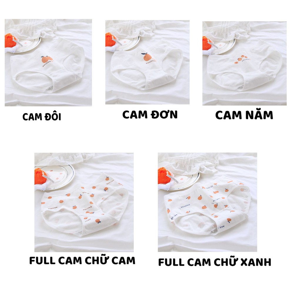 Quần Lót Cotton - Quần Lót Nữ  họa tiết hoa quả cam đào - chống viêm mềm mại lên dáng DAN STORE Mã 8032
