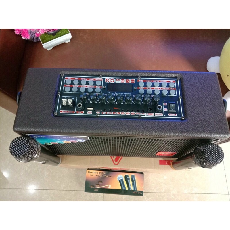 Loa Karaoke SHENGYOU T-8