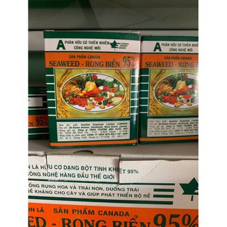 SEAWEED - Rong Biển Hộp lớn 100 gói - rong bien hộp lớn