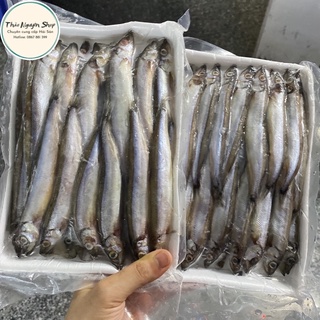 Cá trứng nauy đóng khay 500gr. hàng ngon loại 1 nét 100%