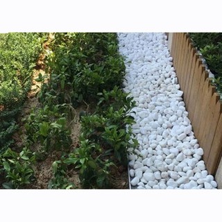 1kg Sỏi Trắng Trang Trí