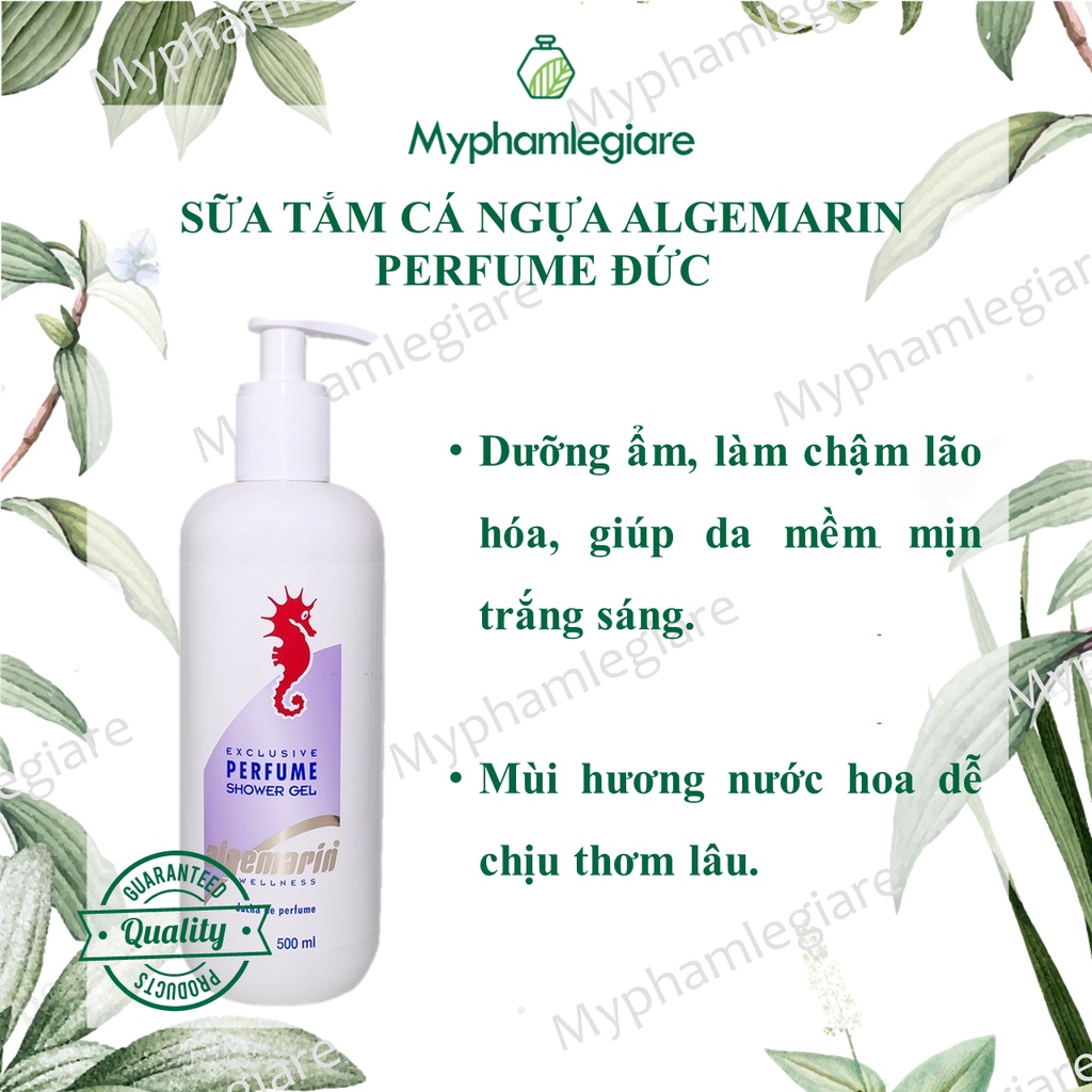 SỮA TẮM CÁ NGỰA HƯƠNG NƯỚC HOA 500ml (có vòi)