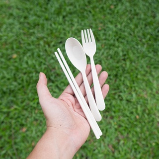 BỘ THÌA, DĨA, ĐŨA 3 CHI TIẾT LÚA MẠCH AN TOÀN