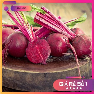 HẠT GIỐNG CỦ DỀN ĐỎ LUCKY.VN