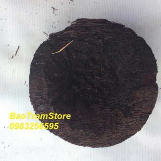 Chậu dớn trồng lan tròn đường kính 20cm